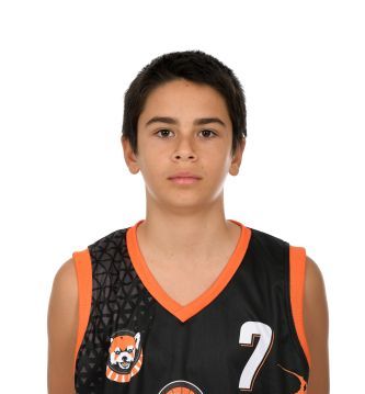 Aleksandar Dimitrijevic