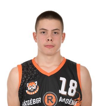 Angyal Medárd